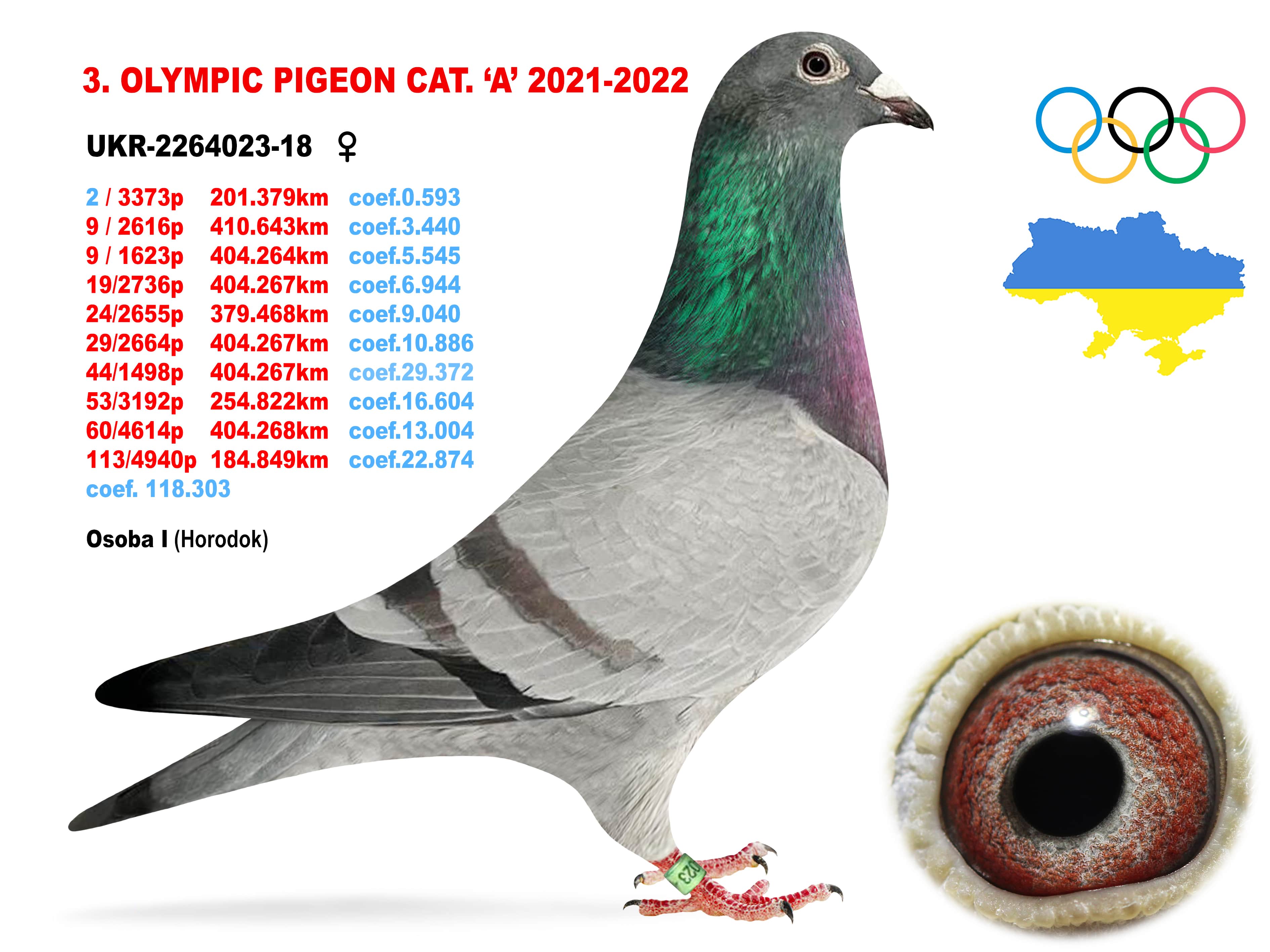 2022-A3